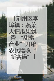 荆州区李埠镇：蔬菜大镇瓜果飘香 “甜蜜产业”开辟农民增收“新赛道”