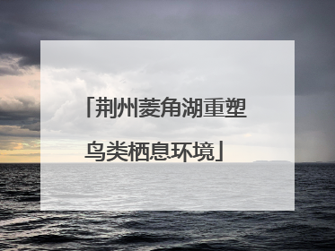 荆州菱角湖重塑鸟类栖息环境