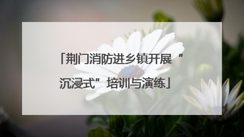 荆门消防进乡镇开展“沉浸式”培训与演练