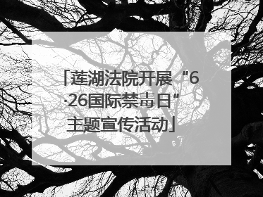 莲湖法院开展“6·26国际禁毒日”主题宣传活动