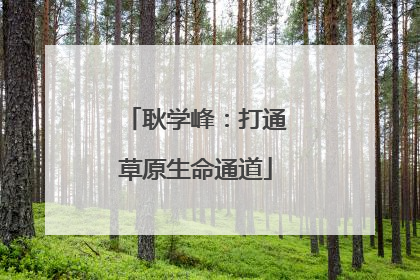 耿学峰：打通草原生命通道