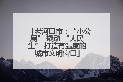 老河口市：“小公厕” 撬动 “大民生” 打造有温度的城市文明窗口