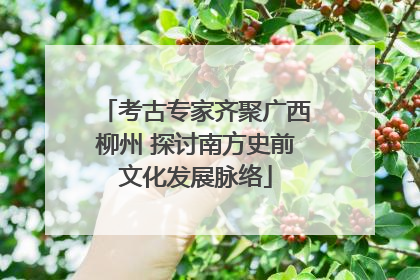 考古专家齐聚广西柳州 探讨南方史前文化发展脉络