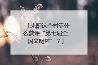 耒阳这个村靠什么获评“第七届全国文明村”？