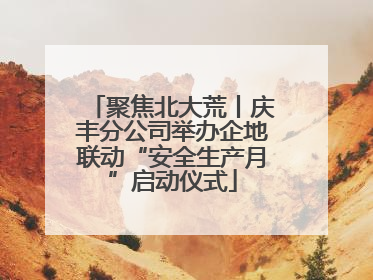 聚焦北大荒丨庆丰分公司举办企地联动“安全生产月”启动仪式