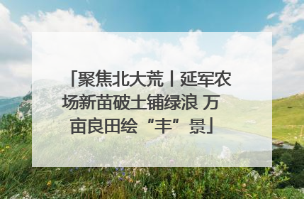 聚焦北大荒丨延军农场新苗破土铺绿浪 万亩良田绘“丰”景