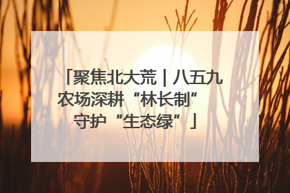 聚焦北大荒｜八五九农场深耕“林长制” 守护“生态绿”