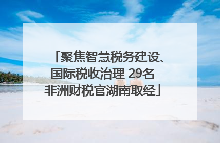 聚焦智慧税务建设、国际税收治理 29名非洲财税官湖南取经