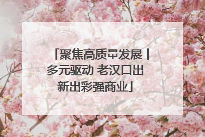 聚焦高质量发展丨多元驱动 老汉口出新出彩强商业