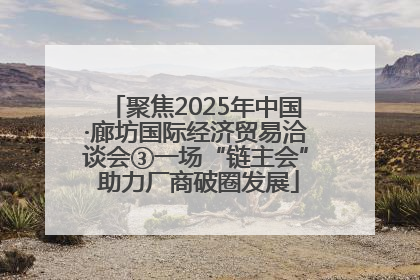 聚焦2025年中国·廊坊国际经济贸易洽谈会③一场“链主会” 助力厂商破圈发展