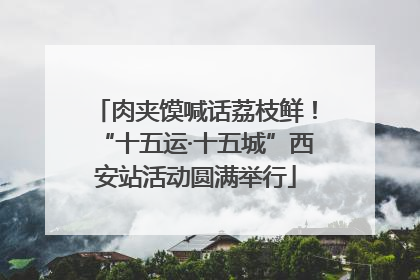 肉夹馍喊话荔枝鲜！“十五运·十五城”西安站活动圆满举行