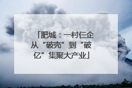 肥城：一村仨企从“破壳”到“破亿”集聚大产业