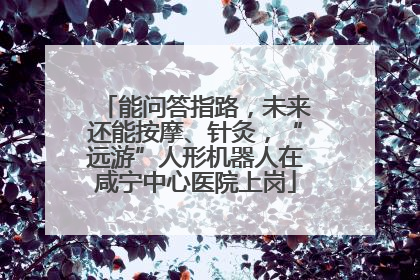 能问答指路，未来还能按摩、针灸，“远游”人形机器人在咸宁中心医院上岗