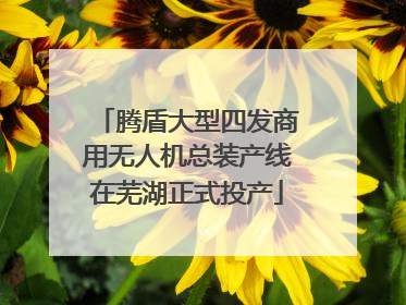 腾盾大型四发商用无人机总装产线在芜湖正式投产
