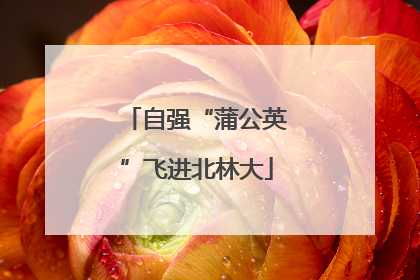 自强“蒲公英”飞进北林大