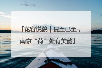 花容悦貌｜夏至已至，南京“荷”处有美韵