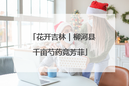 花开吉林｜柳河县千亩芍药竞芳菲