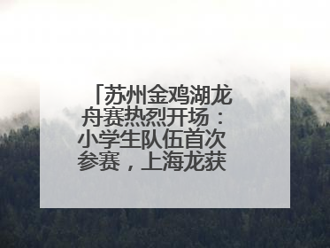 苏州金鸡湖龙舟赛热烈开场：小学生队伍首次参赛，上海龙获国际组冠亚军