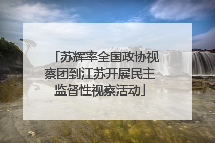 苏辉率全国政协视察团到江苏开展民主监督性视察活动