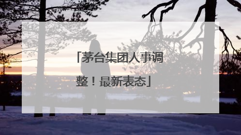 茅台集团人事调整！最新表态