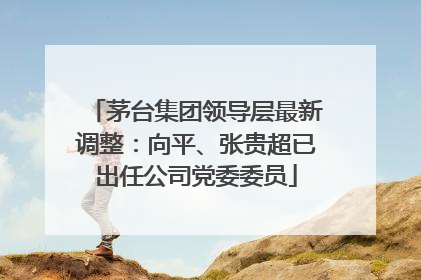 茅台集团领导层最新调整：向平、张贵超已出任公司党委委员