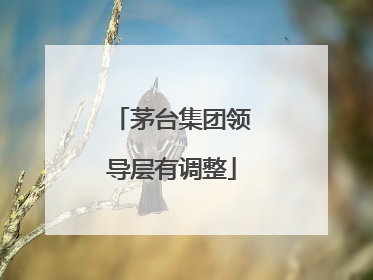 茅台集团领导层有调整