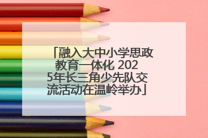 融入大中小学思政教育一体化 2025年长三角少先队交流活动在温岭举办