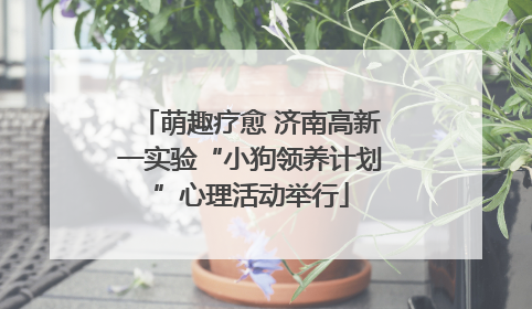 萌趣疗愈 济南高新一实验“小狗领养计划”心理活动举行