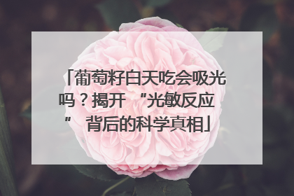 葡萄籽白天吃会吸光吗？揭开 “光敏反应” 背后的科学真相