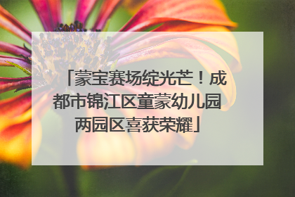 蒙宝赛场绽光芒！成都市锦江区童蒙幼儿园两园区喜获荣耀