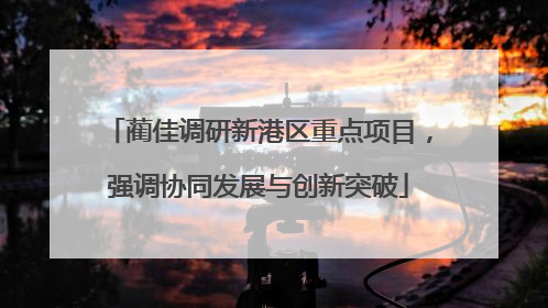 蔺佳调研新港区重点项目，强调协同发展与创新突破