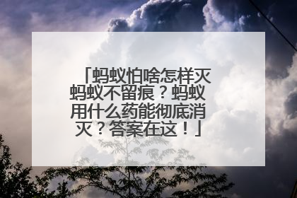 蚂蚁怕啥怎样灭蚂蚁不留痕？蚂蚁用什么药能彻底消灭？答案在这！
