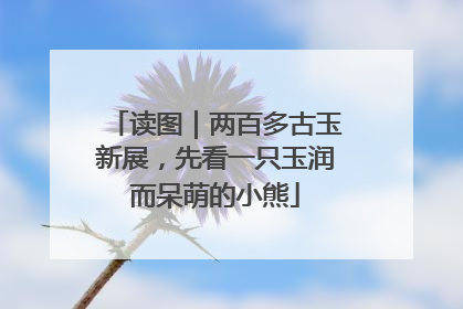 读图｜两百多古玉新展，先看一只玉润而呆萌的小熊