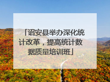 诏安县举办深化统计改革，提高统计数据质量培训班