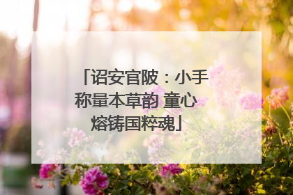 诏安官陂：小手称量本草韵 童心熔铸国粹魂