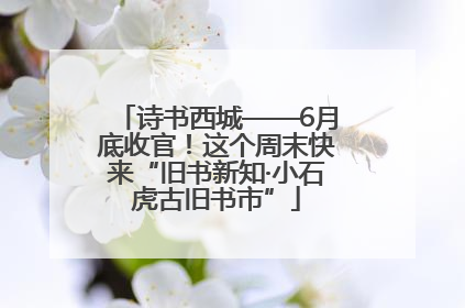诗书西城——6月底收官！这个周末快来“旧书新知·小石虎古旧书市”