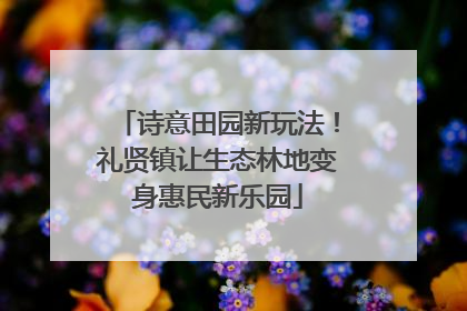 诗意田园新玩法！礼贤镇让生态林地变身惠民新乐园