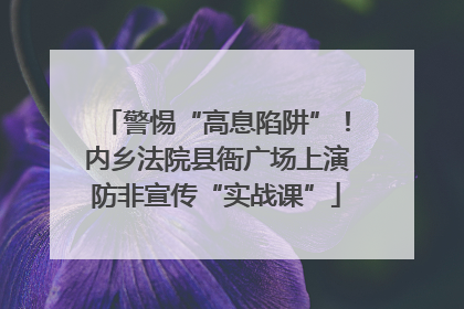警惕“高息陷阱”！内乡法院县衙广场上演防非宣传“实战课”