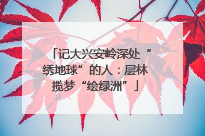 记大兴安岭深处“绣地球”的人：层林揽梦“绘绿洲”