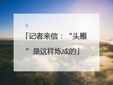 记者来信：“头雁”是这样炼成的