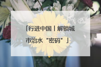 行进中国丨解锁城市治水“密码”
