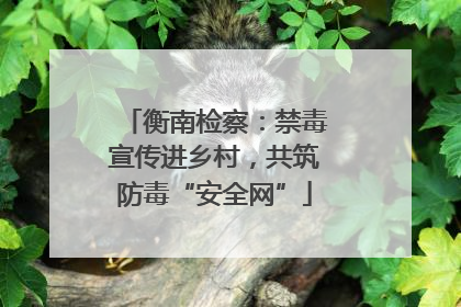 衡南检察：禁毒宣传进乡村，共筑防毒“安全网”