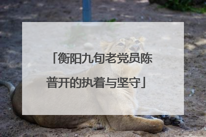 衡阳九旬老党员陈普开的执着与坚守