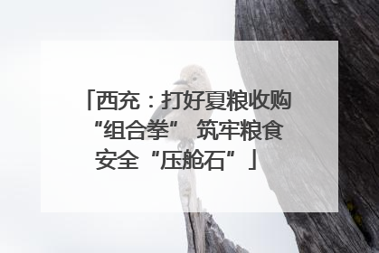 西充：打好夏粮收购“组合拳” 筑牢粮食安全“压舱石”