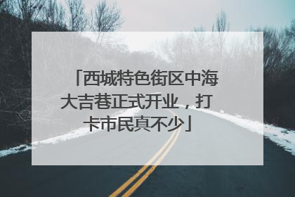 西城特色街区中海大吉巷正式开业，打卡市民真不少
