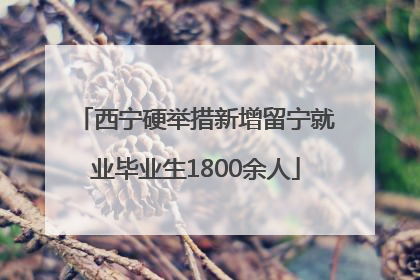 西宁硬举措新增留宁就业毕业生1800余人