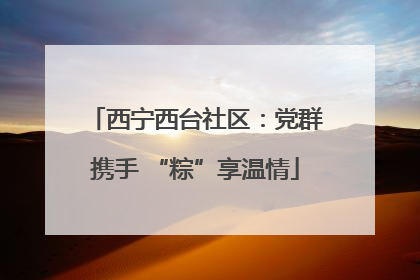 西宁西台社区：党群携手 “粽”享温情