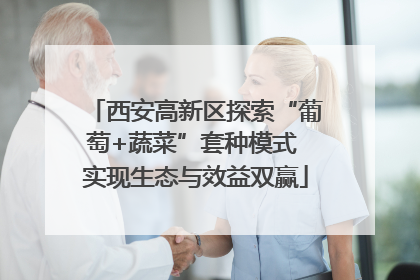 西安高新区探索“葡萄+蔬菜”套种模式 实现生态与效益双赢