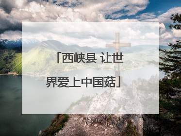 西峡县 让世界爱上中国菇