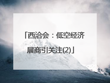 西洽会：低空经济展商引关注(2)